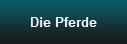 Die Pferde