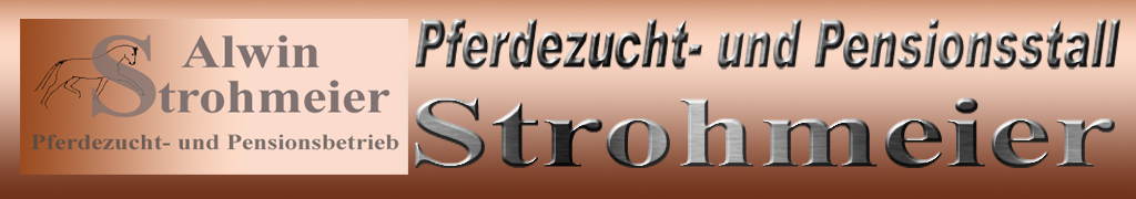 Header-Strohmeier-1