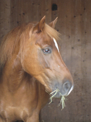 Nina-1