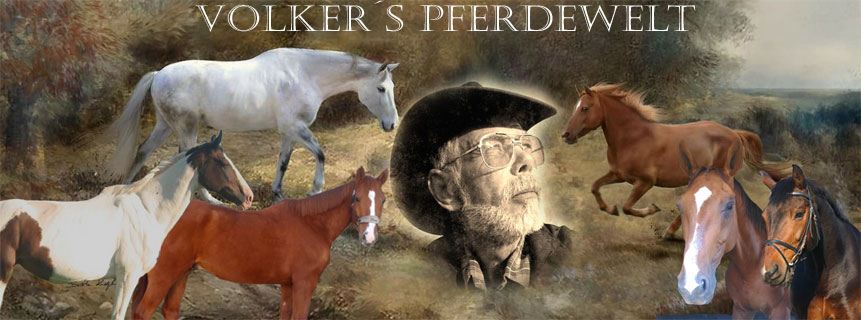Volkers-Pferdewelt-logo1